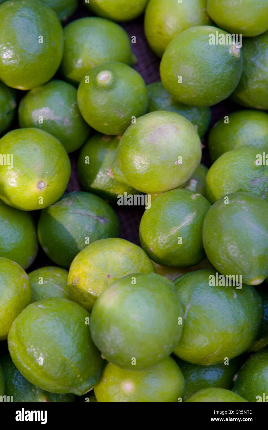 Limes for sale at the twice weekly fresh produce market, Mirissa