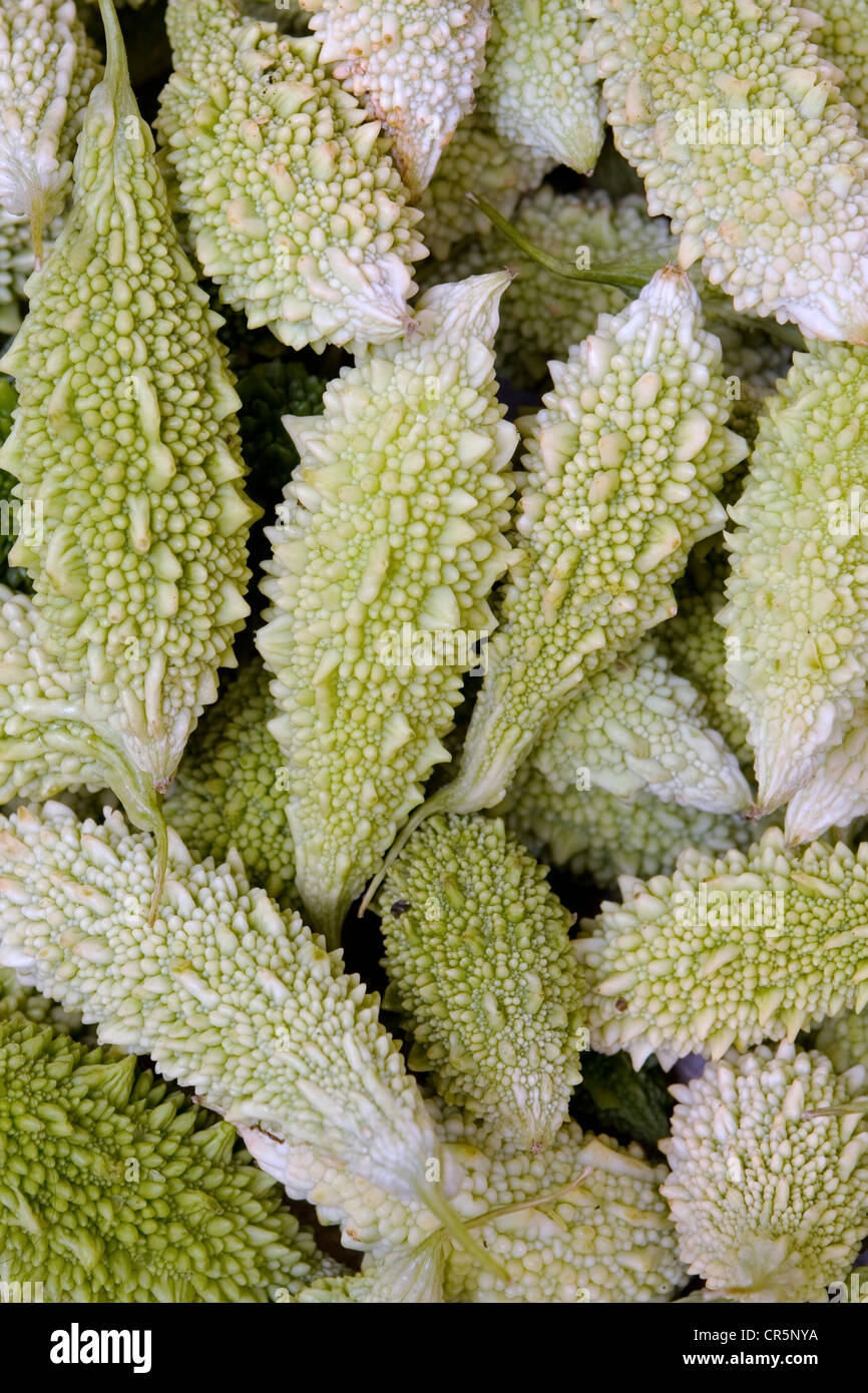 Bitter gourd for sale at the twice weekly fresh produce market, Mirissa