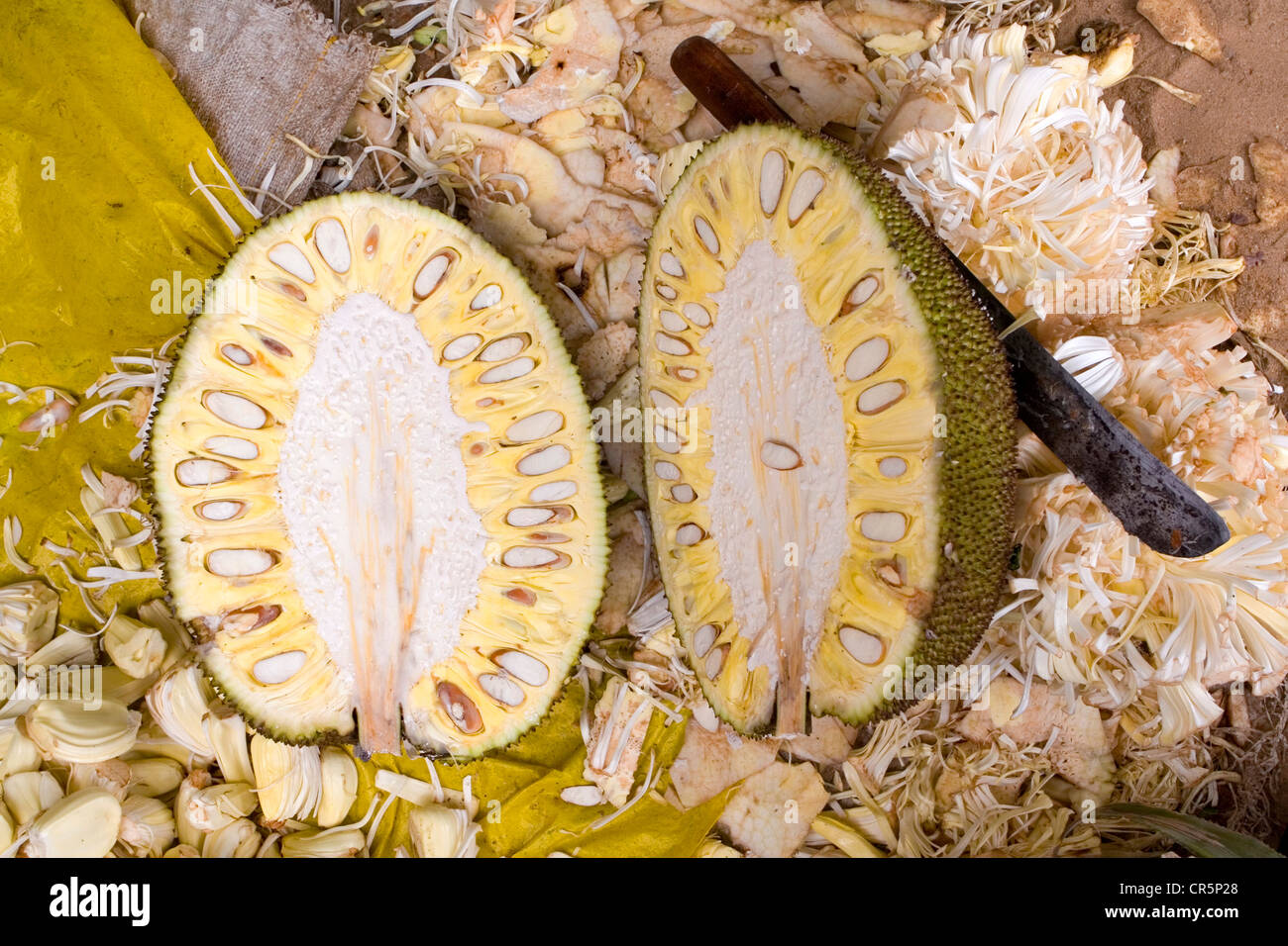 Jackfruit for sale at the twice weekly fresh produce market, Mirissa