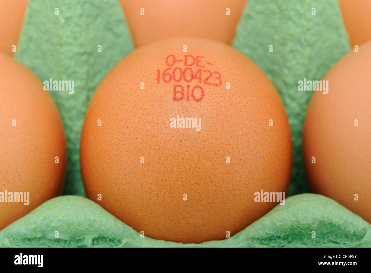 Batch of eggs with expiration date stamp, on egg carton Stock Photo - Alamy