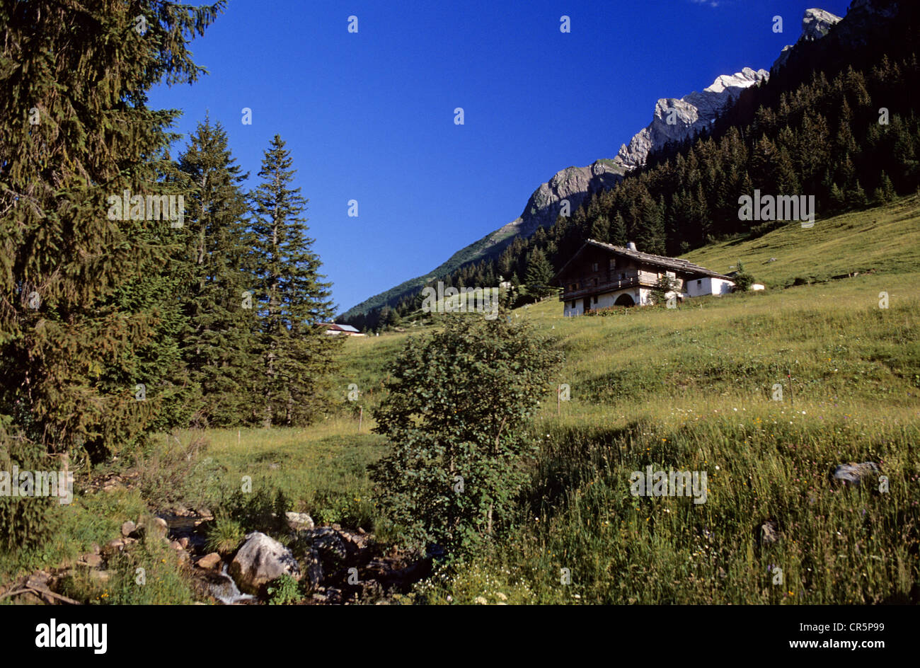 France, Haute Savoie, Col des Aravis Stock Photo