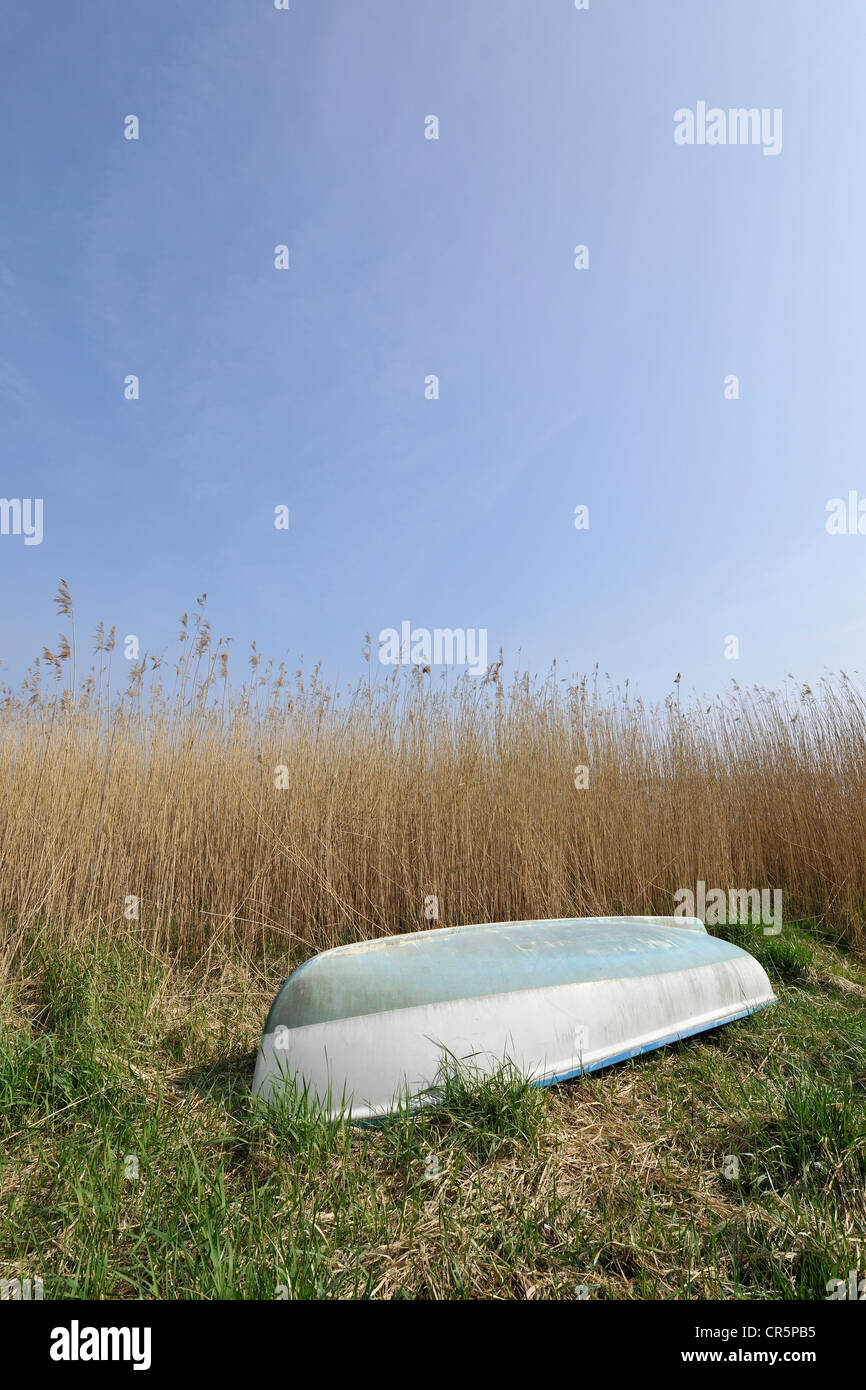 Small boat lying upside down on a surface made of reeds and grass under a blue sky, with space in the sky for text, Ruegen Stock Photo