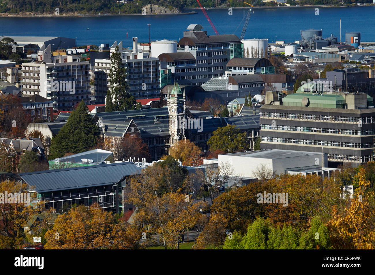 University of Otago in Autumn, Dunedin, South Island, New Zealand Stock ...