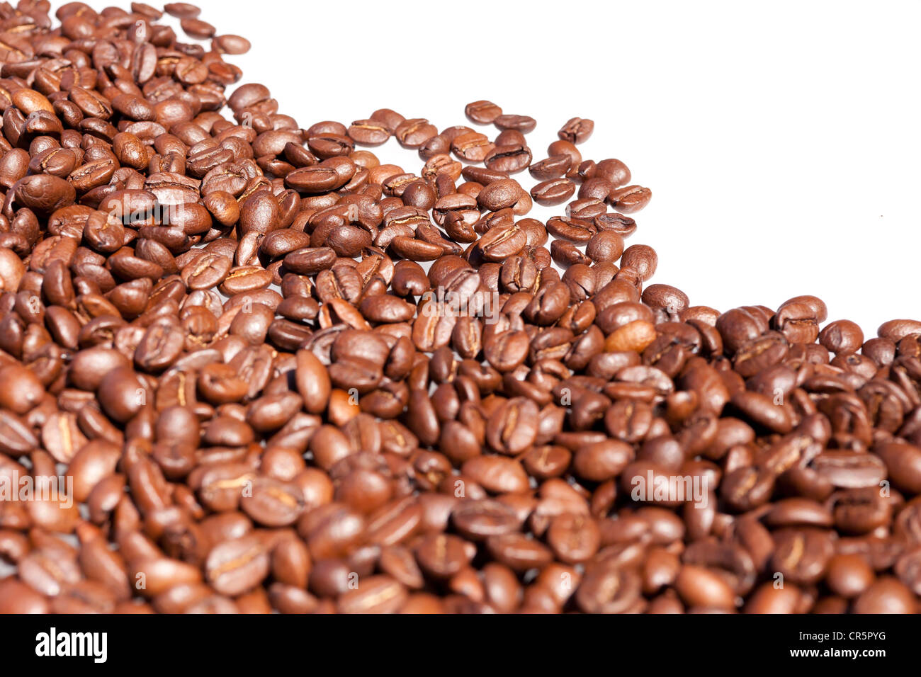 Light roasted coffee beans Stock Photo Alamy
