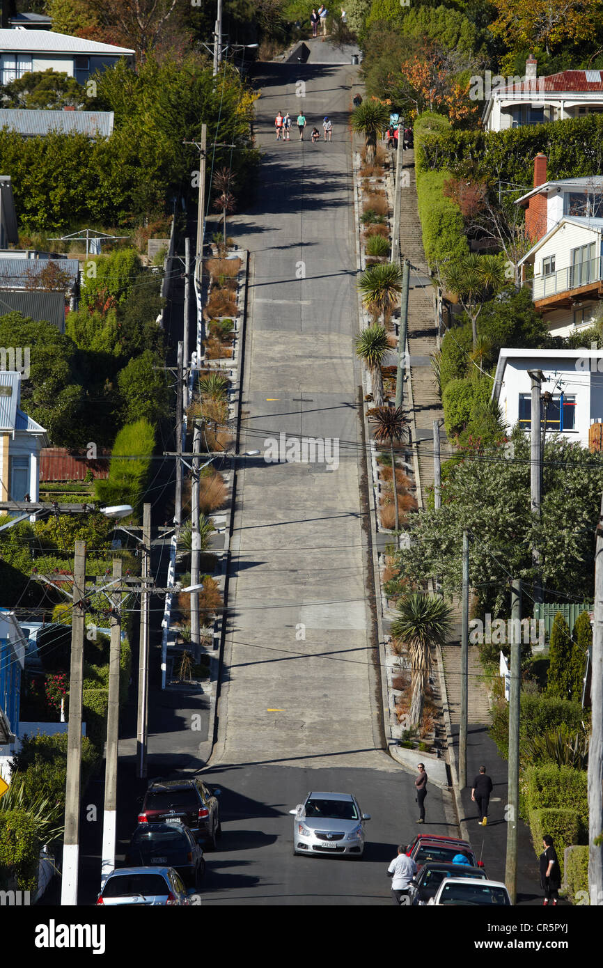 Baldwin Street ( world's steepest street ), Dunedin, South ...