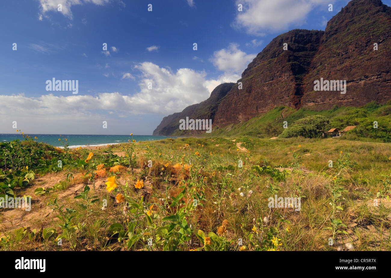 Polihale state park, dunes hires stock photography and images Alamy