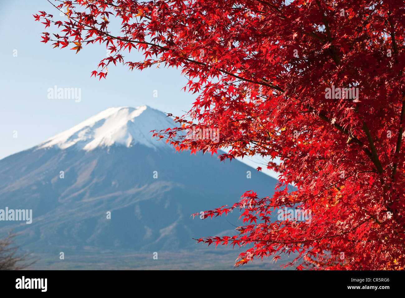 Japan, Honshu Island, Kansai Region, the Mount Fuji (3776m) seen from the shores of the lake Kawaguchiko Stock Photo