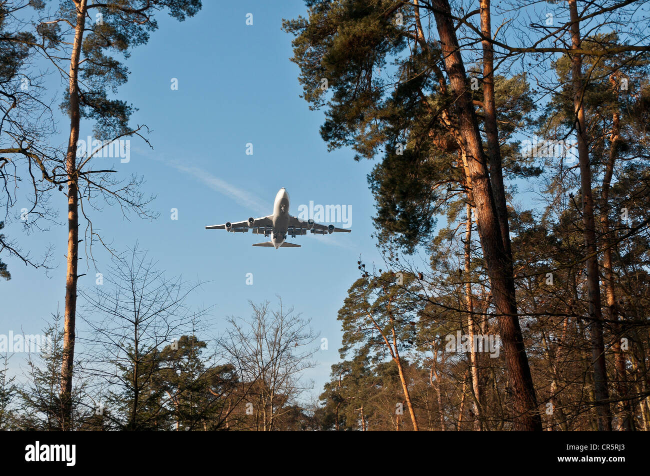 Lufthansa Boeing 747-400 approaching to land over Frankfurt's city forest, Frankfurt, Hesse, Germany, Europe Stock Photo