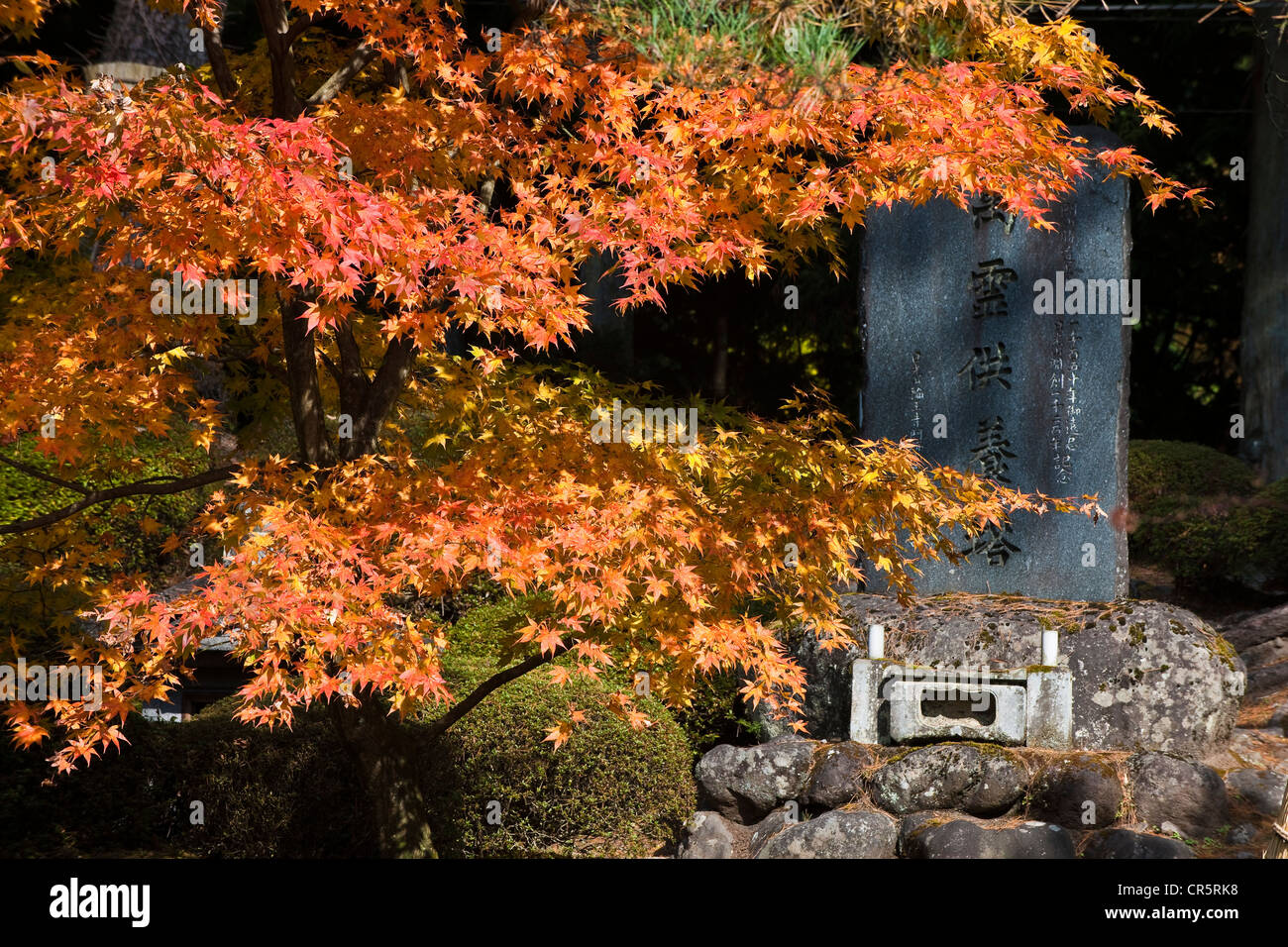 Japan, Honshu Island, Kanto Region, city of Nikko, mapples in autumn, stele Stock Photo