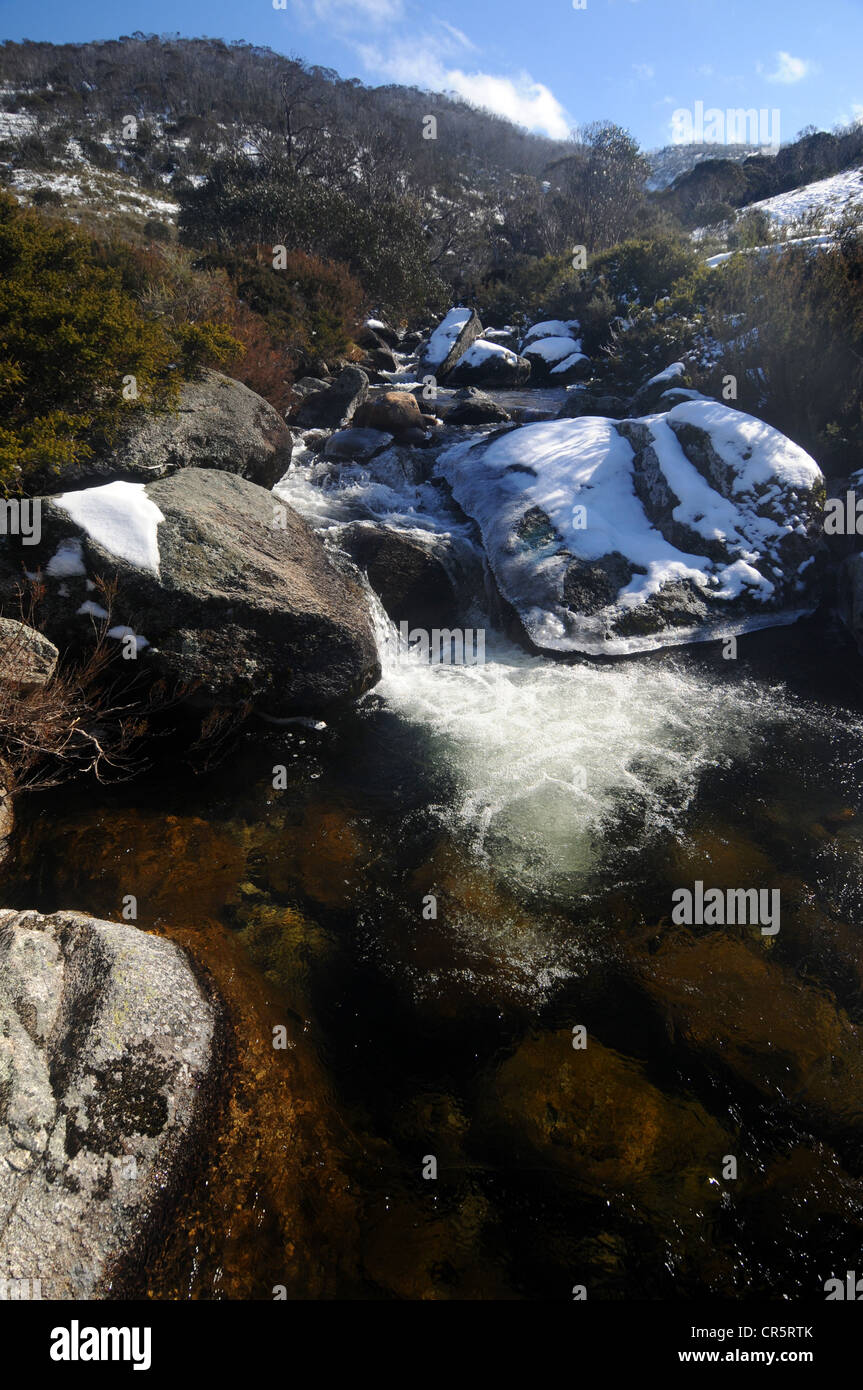 Australia, Victoria, Harrietville, Ovens River Stock Photo - Alamy