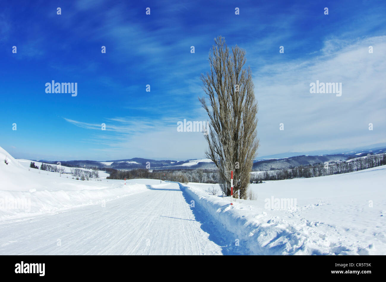 Rural Road In Winter Stock Photo - Alamy