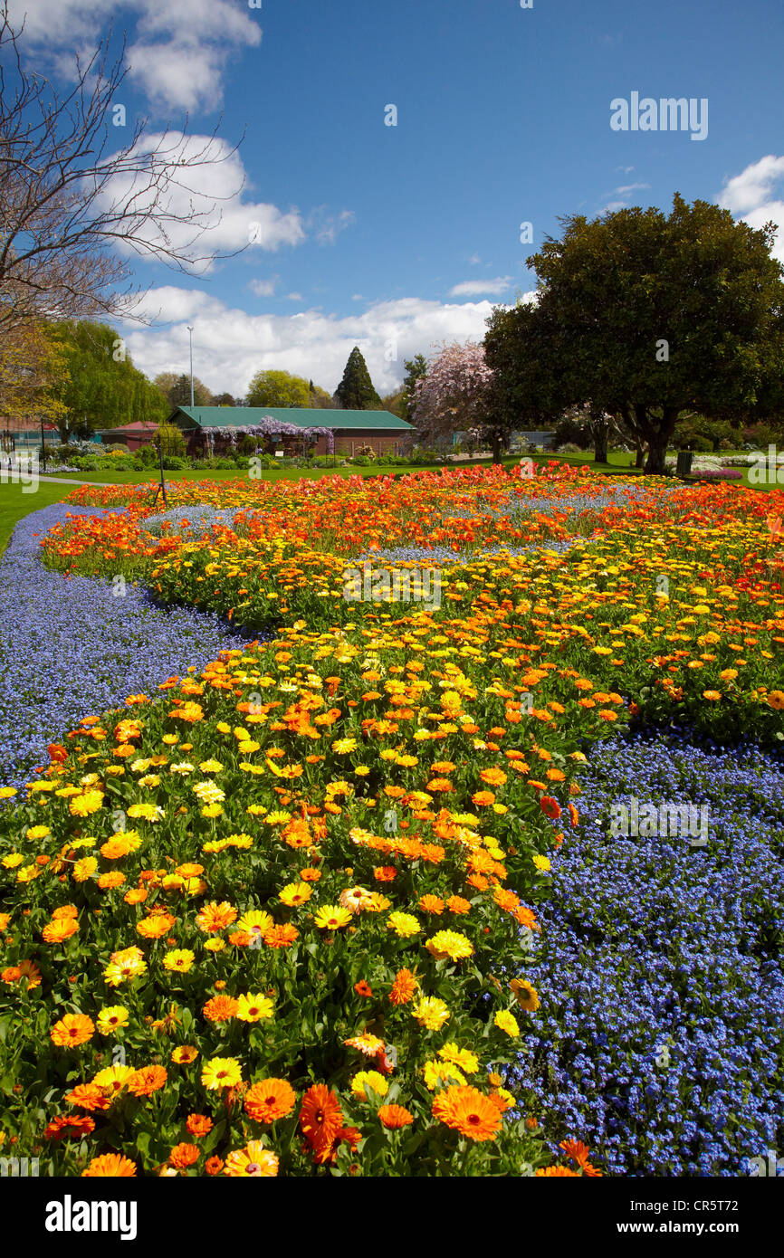 Spring Flowers, Pollard Park, Blenheim, Marlborough, South Island, New Zealand Stock Photo