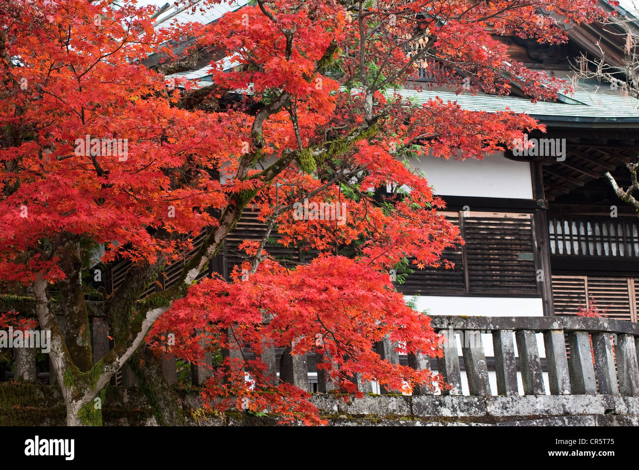 Japan, Honshu Island, Kanto Region, city of Nikko, traditional house Stock Photo