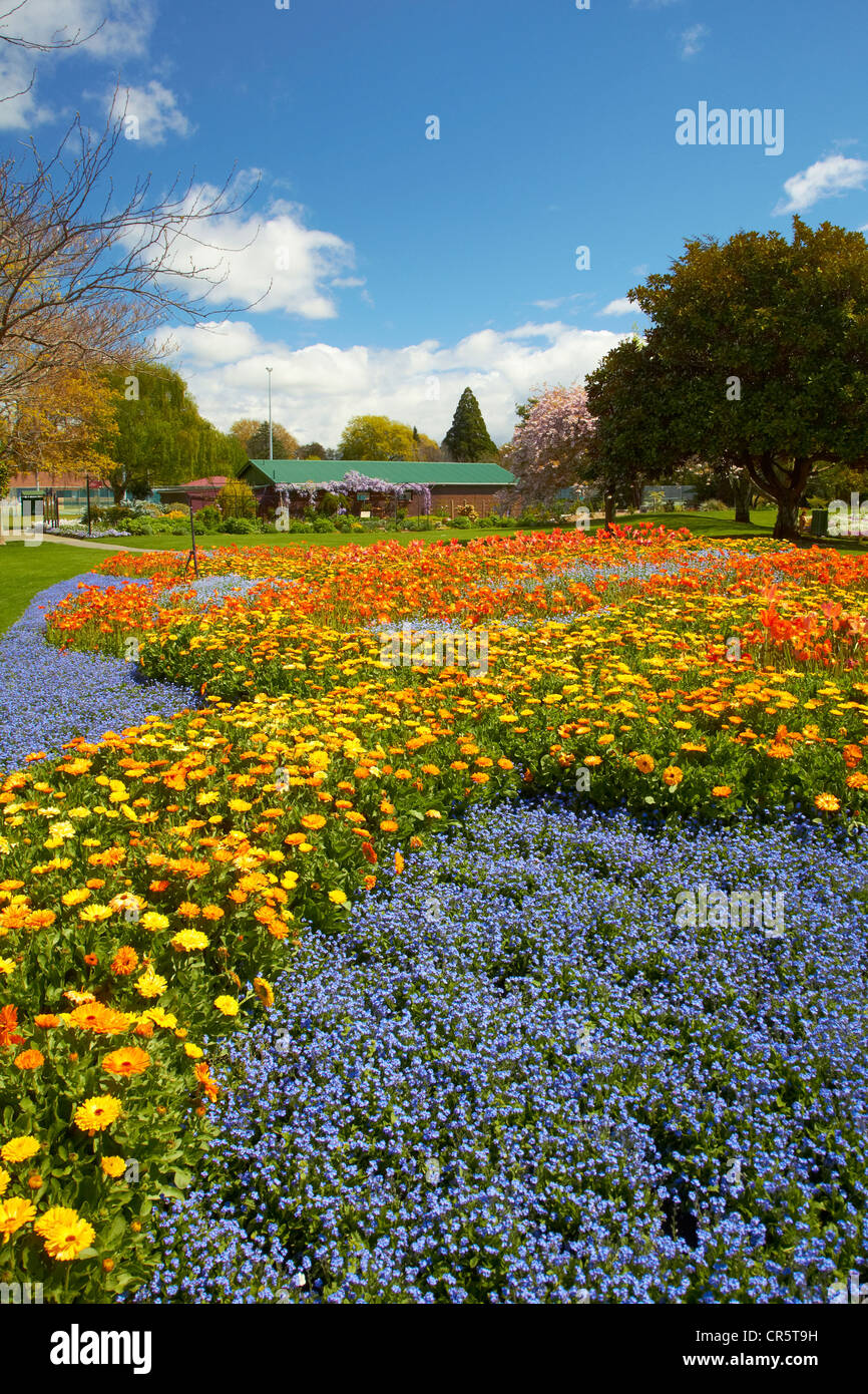 Spring Flowers, Pollard Park, Blenheim, Marlborough, South Island, New Zealand Stock Photo