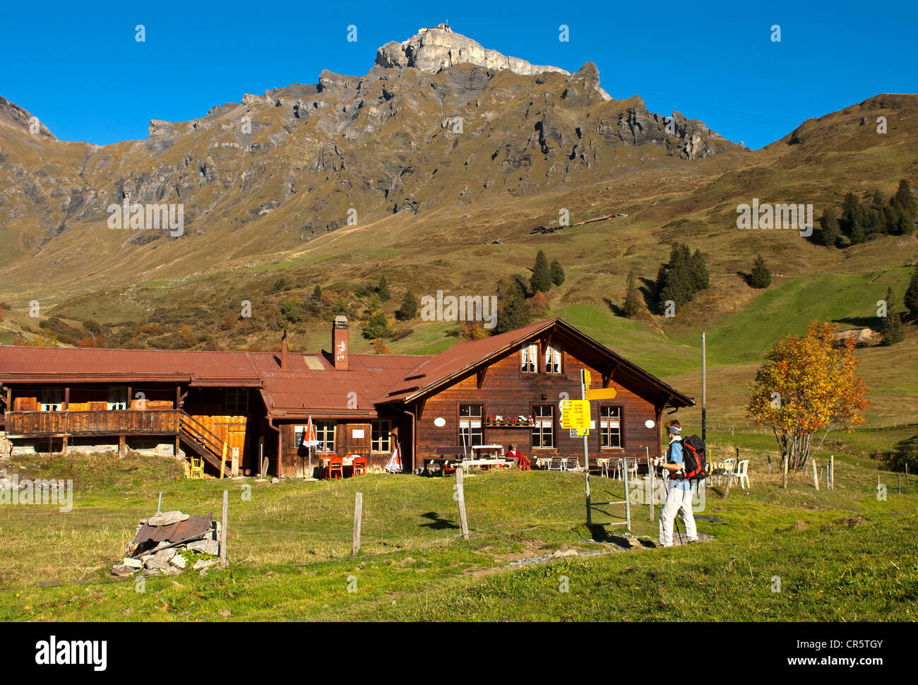 Alpine Farmhouse On Spielbodenalp Below The Summit Of Birg Mountain With The Mid Station Of The Schilthornbahn Cable Car Alpine Farmhouse On Spielbodenalp Below The Summit Of Birg Mountain With The Mid Station Of The Schilthornbahn Cable Car