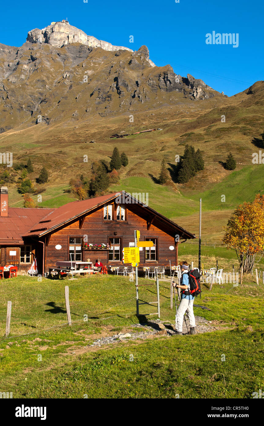 Alpine Farmhouse On Spielbodenalp Below The Summit Of Birg Mountain With The Mid Station Of The Schilthornbahn Cable Car Alpine Farmhouse On Spielbodenalp Below The Summit Of Birg Mountain With The Mid Station Of The Schilthornbahn Cable Car