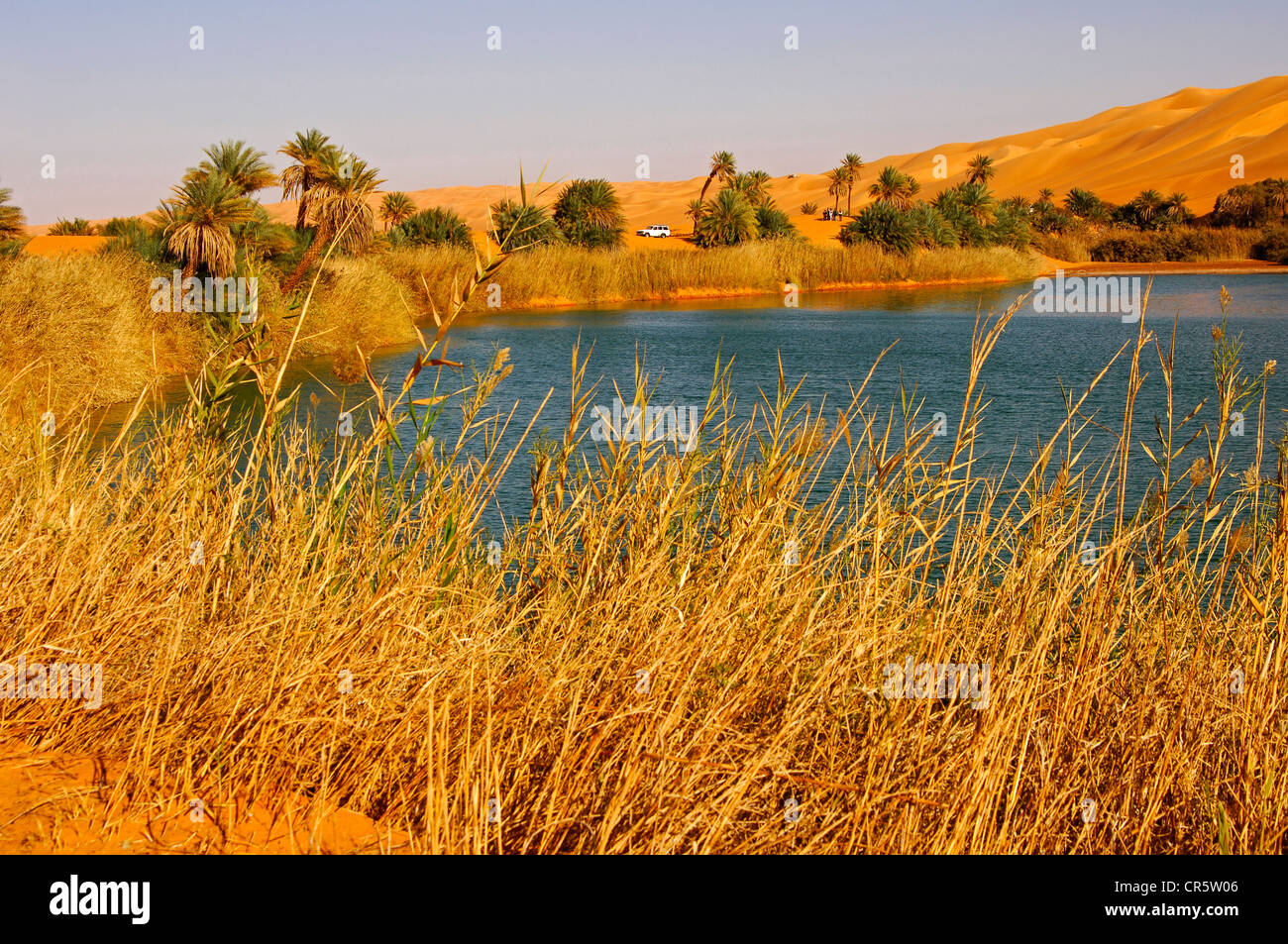 On the Um el Maa desert lake in the Ubari Sand Sea, Sahara, Libya, Africa Stock Photo