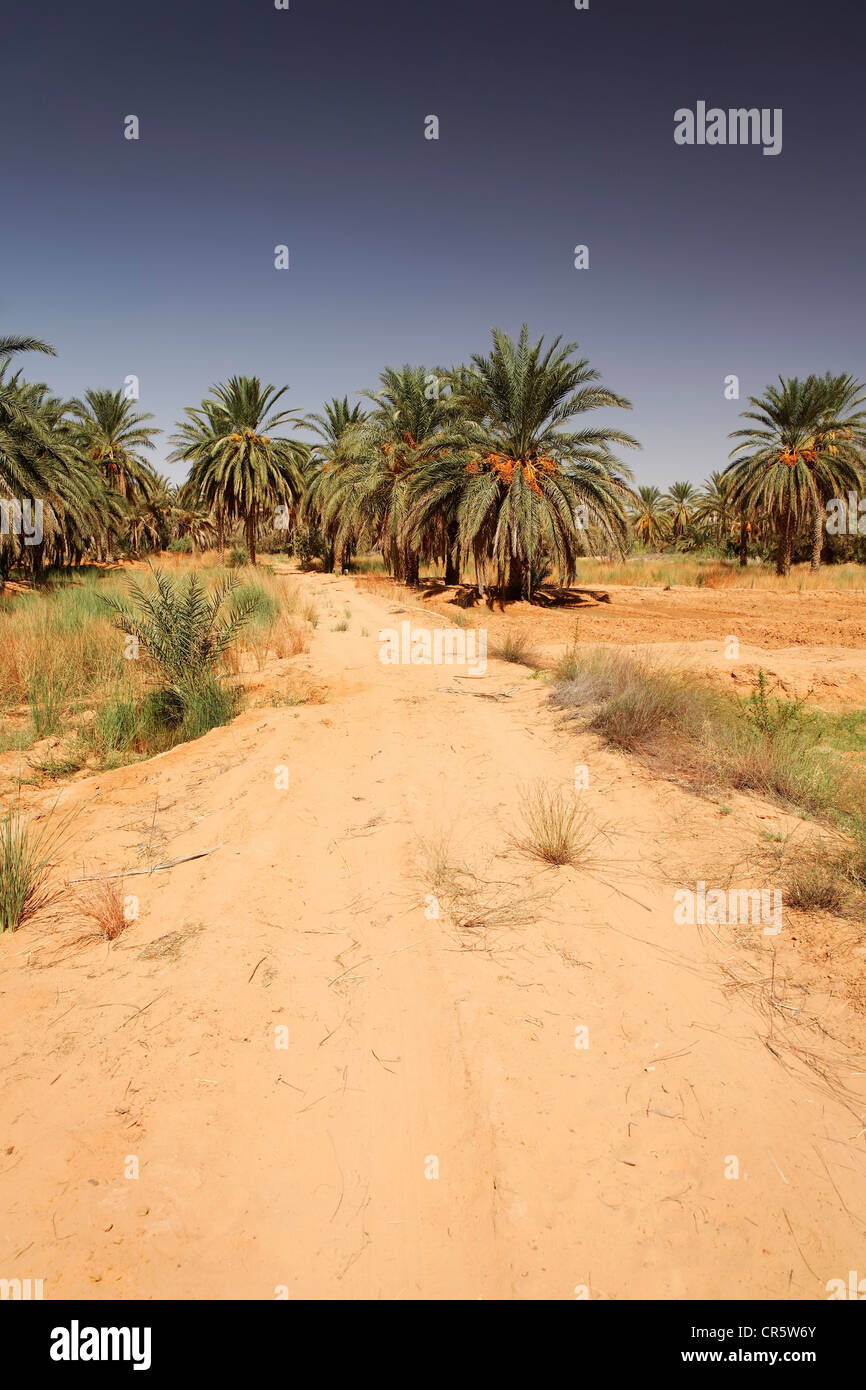 Maghreb dating sivusto