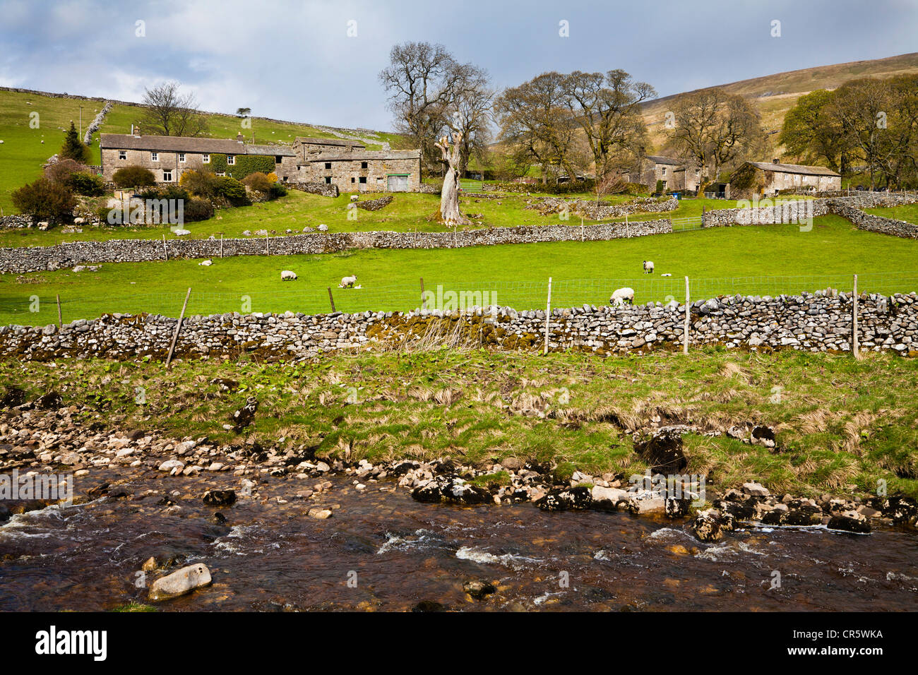 Deepdale in Langstrothdale in the Yorkshire Dales, North Yorkshire