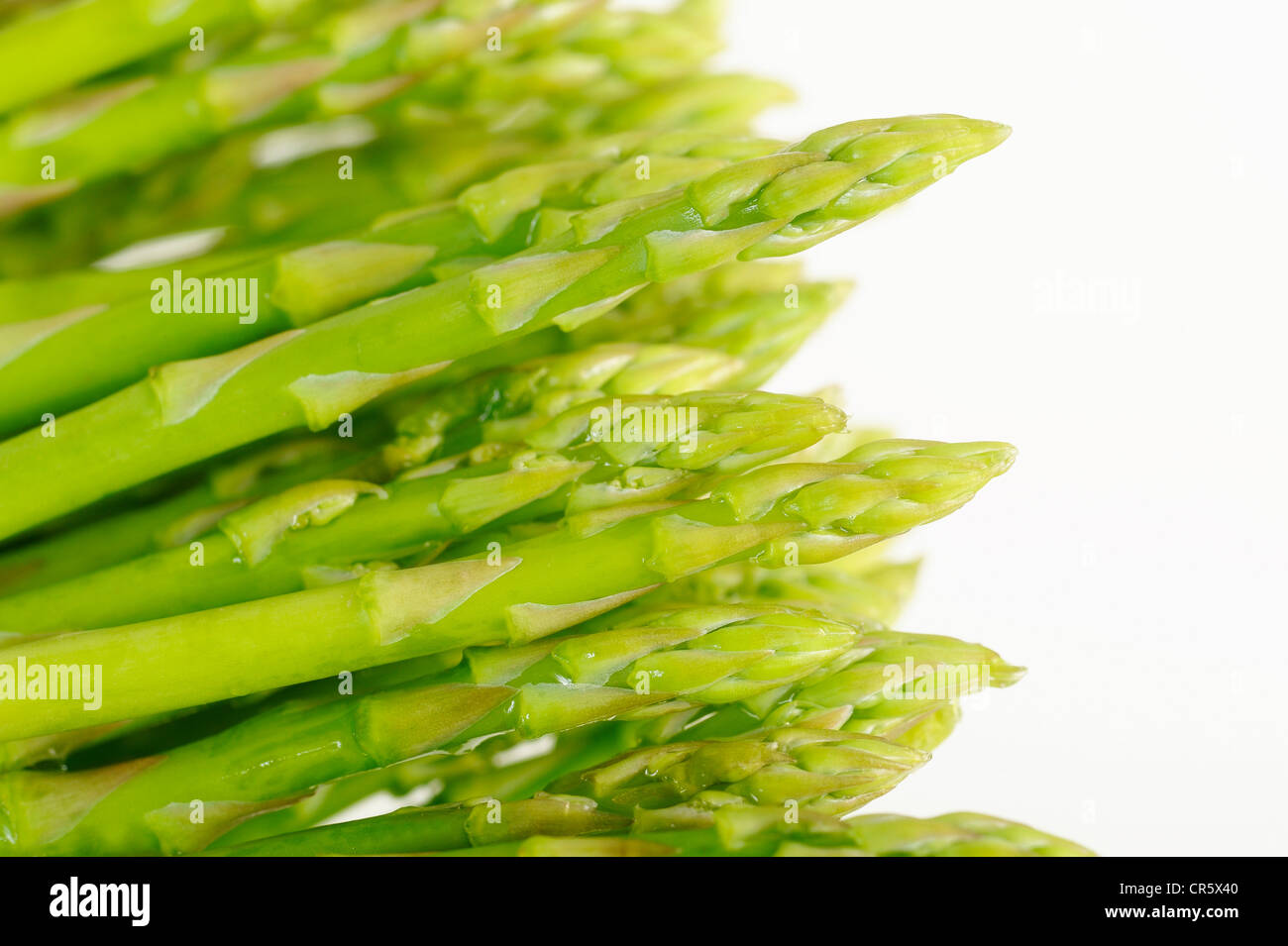 Close up of fresh asparagus Stock Photo