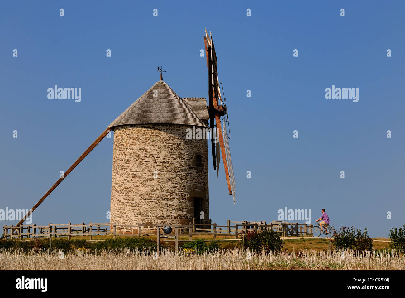 France, Manche, Bay of Mont Saint Michel, road of the mills, windmill of Moidrey Stock Photo