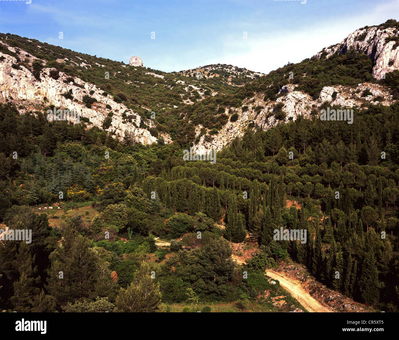 France, Bouches du Rhone, Massif de la Sainte Baume, Zone Tuny Stock