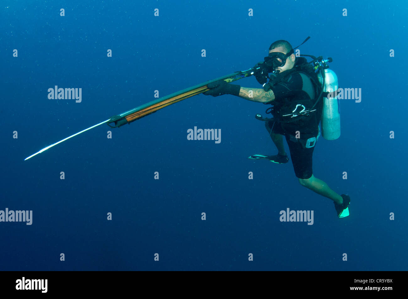 https://c8.alamy.com/comp/CR5YBX/spear-fishing-on-scuba-in-clear-blue-water-CR5YBX.jpg