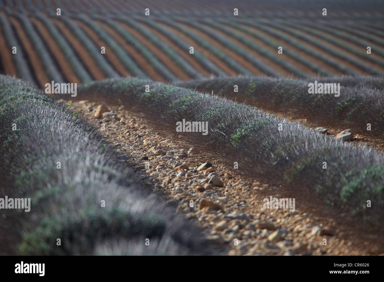 Picturesque Provence landscape Stock Photo