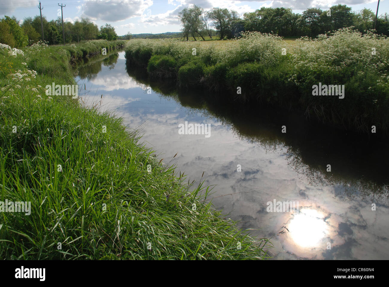 The Six Mile river in County Antrim on a summer evening. Picture by: Adam Alexander/Alamy Stock Photo