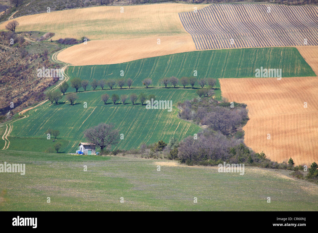 Picturesque Provence landscape Stock Photo