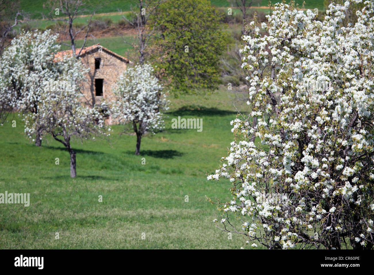 Picturesque Provence landscape Stock Photo