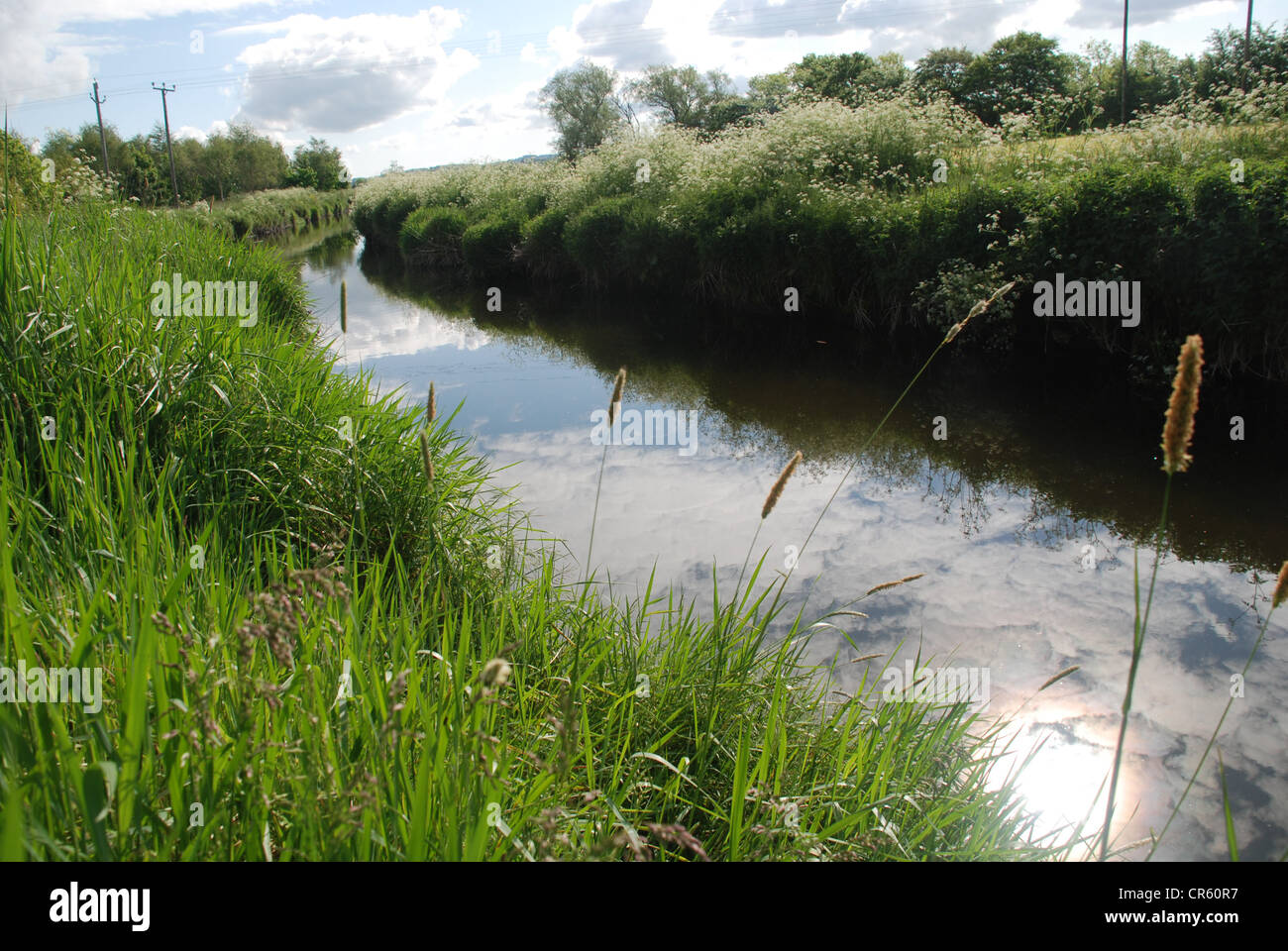 The Six Mile river in County Antrim on a summer evening. Picture by: Adam Alexander/Alamy Stock Photo