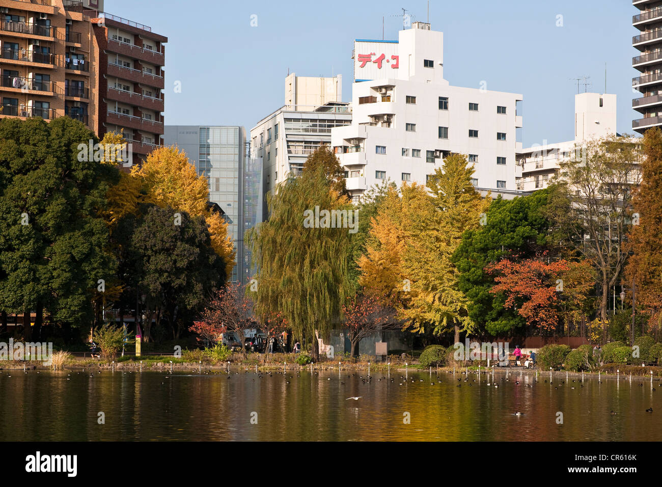 Japan, Honshu Island, Tokyo, the Ueno Park Stock Photo