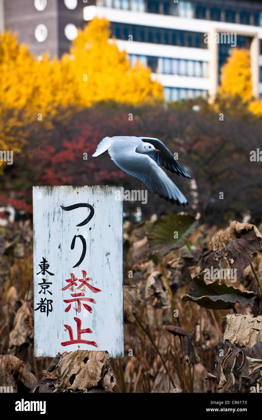 Japan, Honshu Island, Tokyo, the Ueno Park Stock Photo