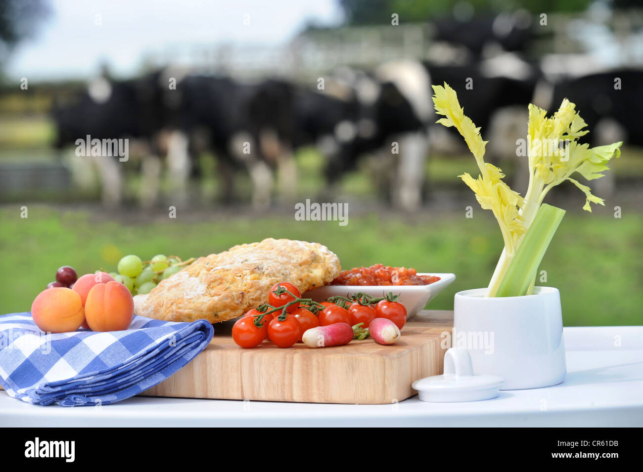 A picnic lunch laid out with a herd of Friesian cows behind UK Stock Photo Alamy