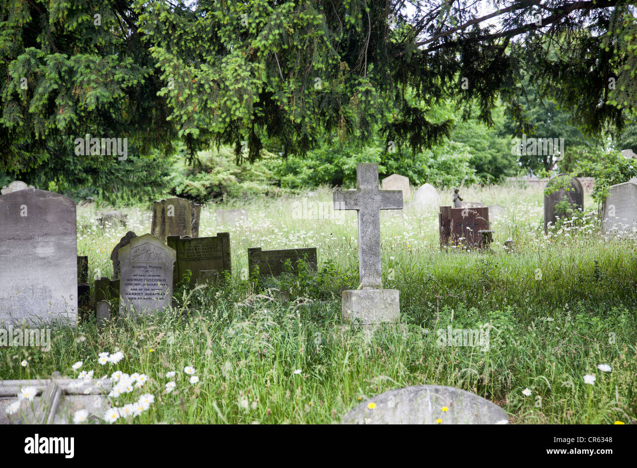 Brompton Cemetery Graves Stock Photo