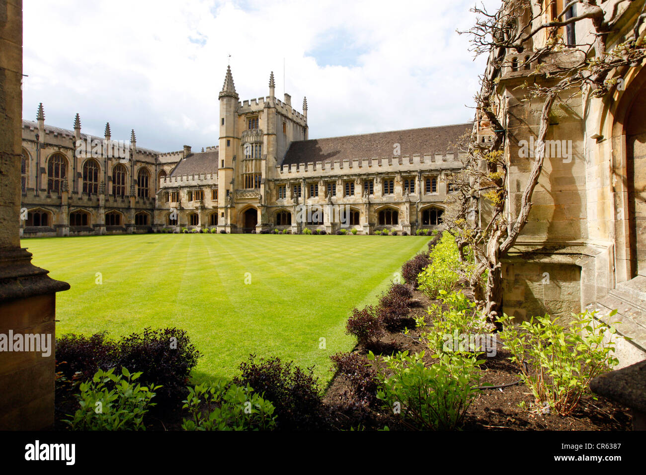 Magdalen College. One of 39 colleges, all of which are independently and together form the University of Oxford. Stock Photo