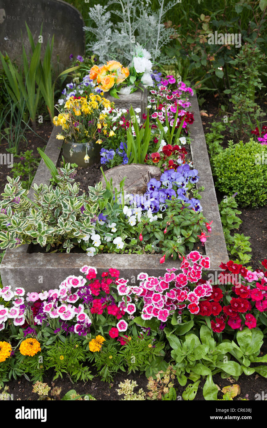 Permanent planting of flowers on grave in Brompton Cemetery London UK