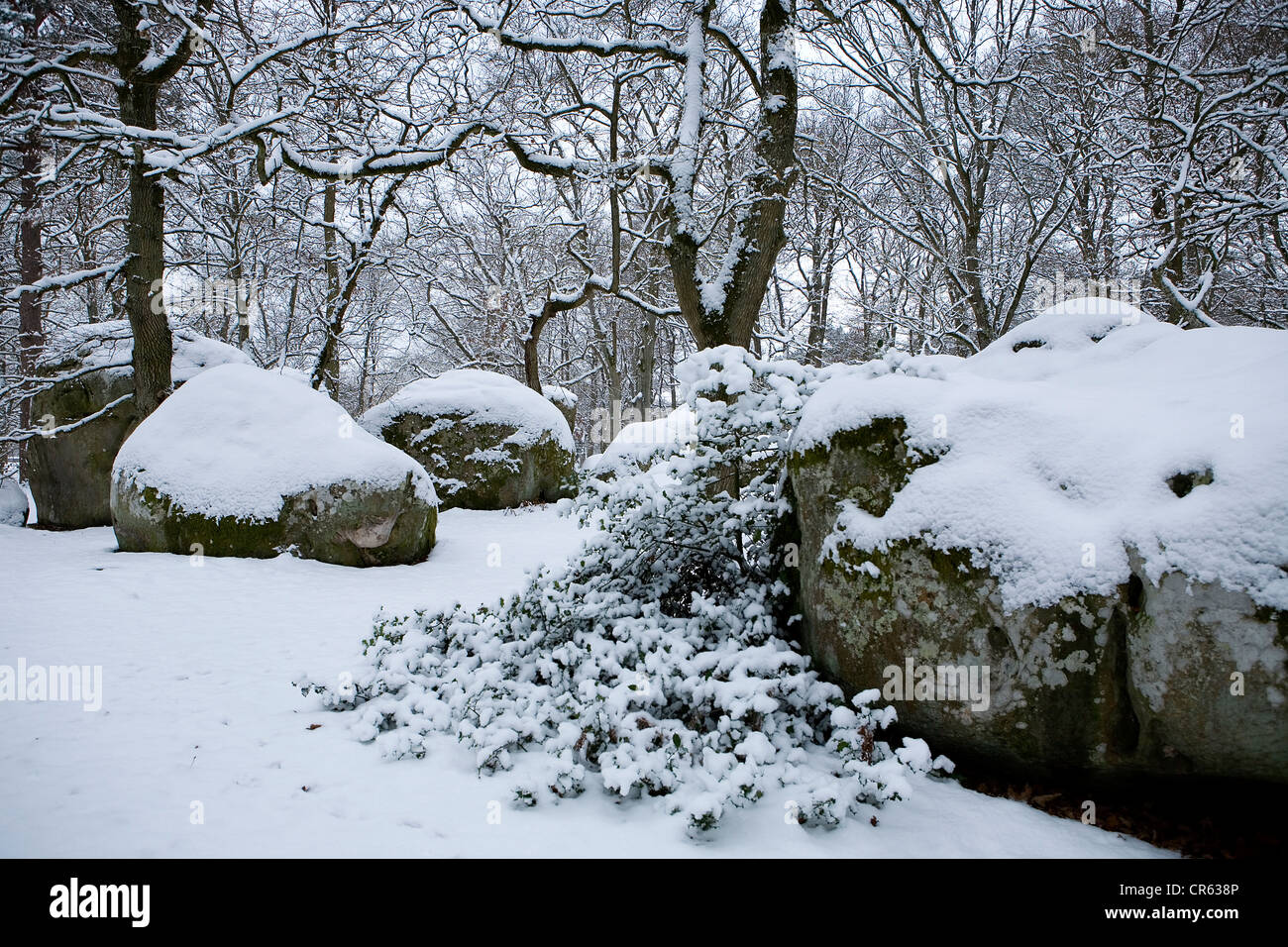 Rocks Under Snow High Resolution Stock Photography And Images Alamy