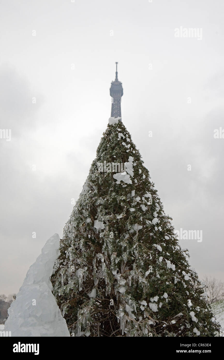 France, Paris, frozen tir-tree of the fontain of Trocadero with the Eiffel Tower in the background Stock Photo