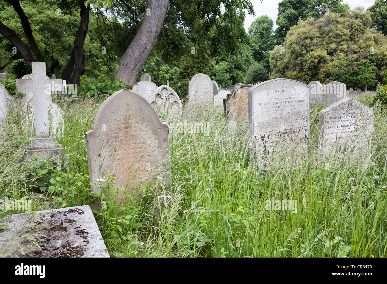 Brompton Cemetery Graves - London UK Stock Photo - Alamy