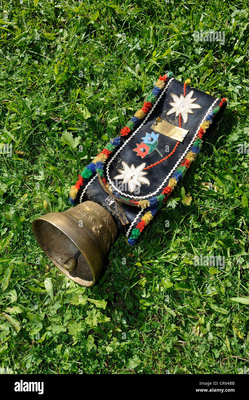 Cowbell to decorate the cows lying readily on a meadow, Almabtrieb, where the cattle are led back from their alpine pasture Stock Photo