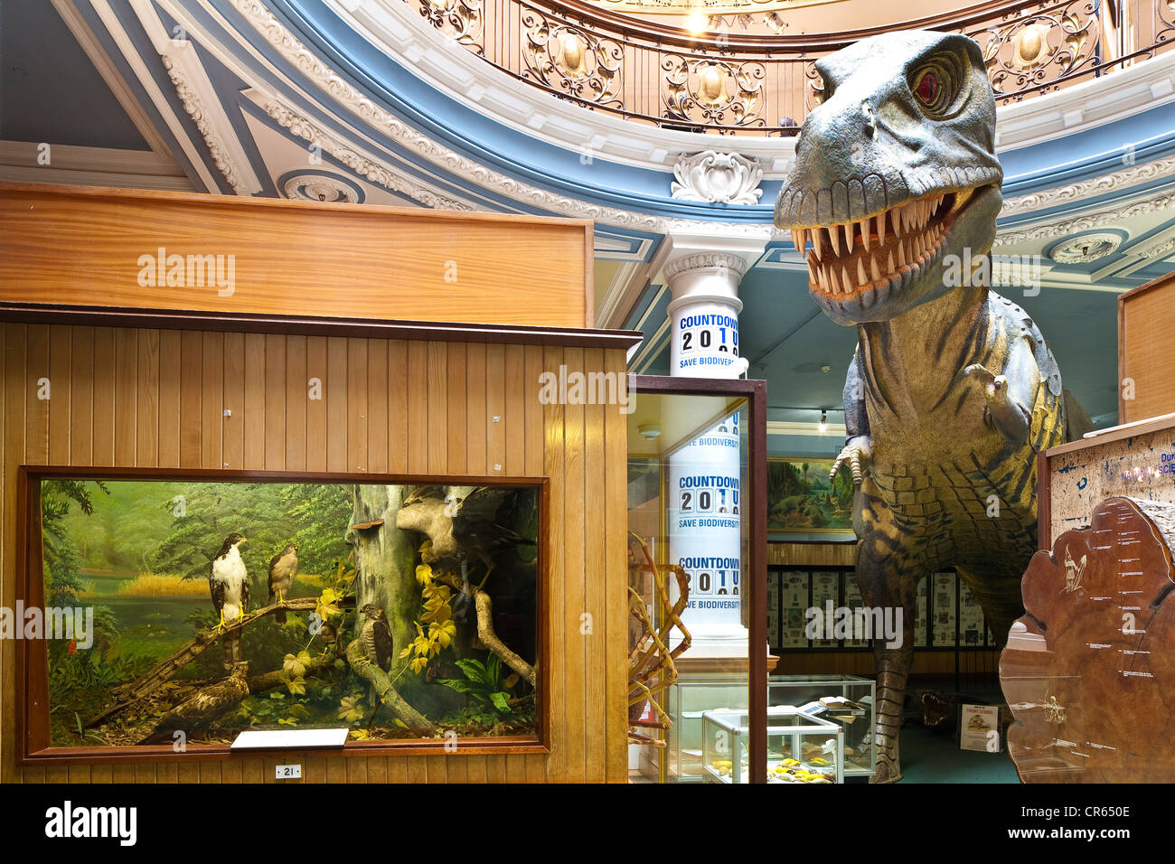 South Africa, Kwazulu Natal Province, Durban, City Hall, Natural