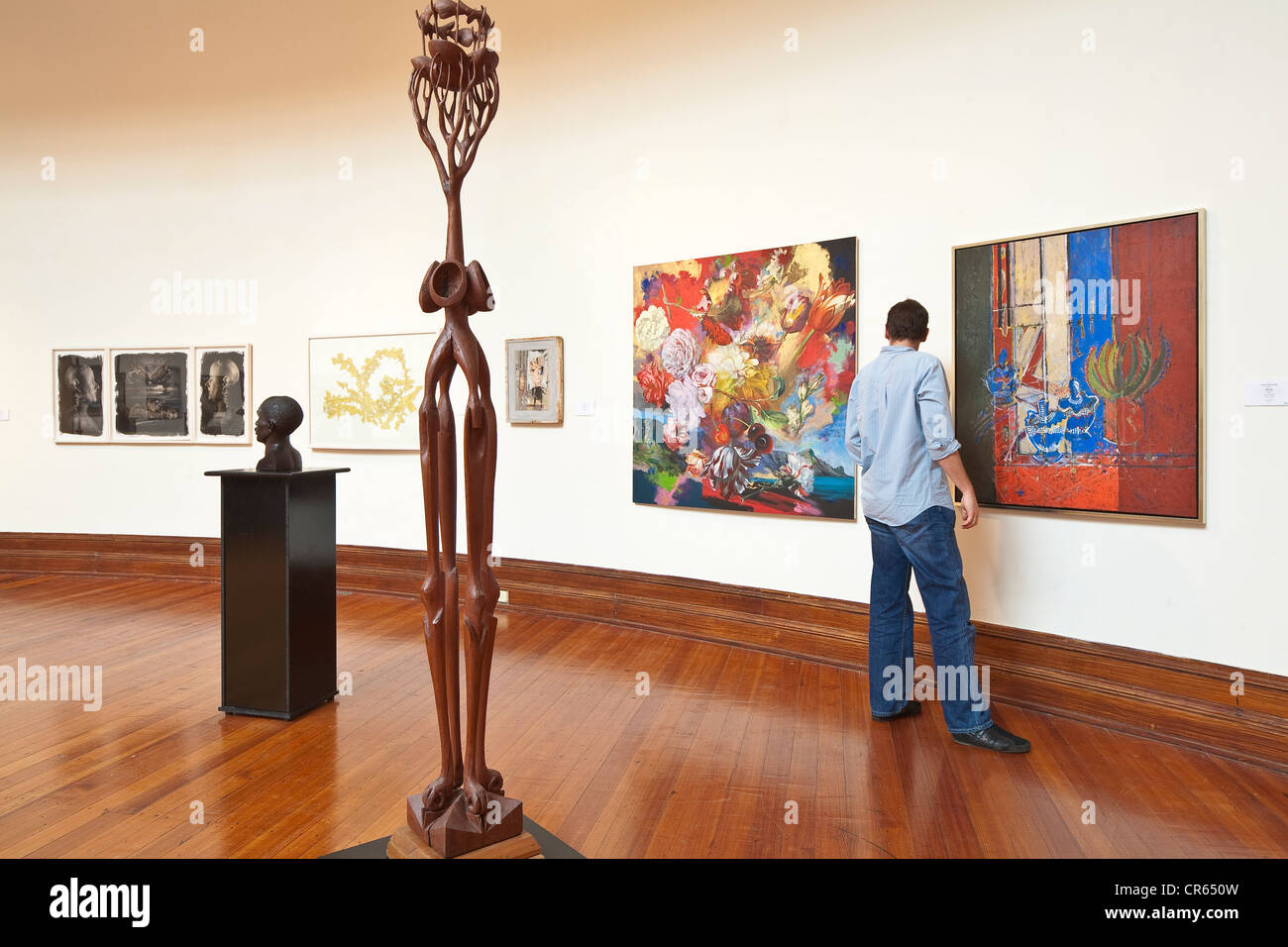 South Africa, Kwazulu Natal Province, Durban, City Hall, Durban Art