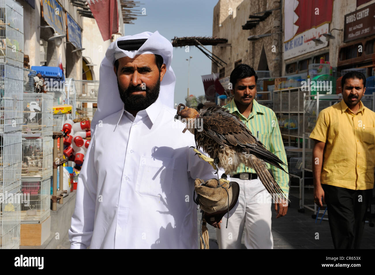 Man carrying a hunting falcon on his arm, animal market in Souq al Waqif, the oldest souq or bazaar in the country, , Qatar Stock Photo