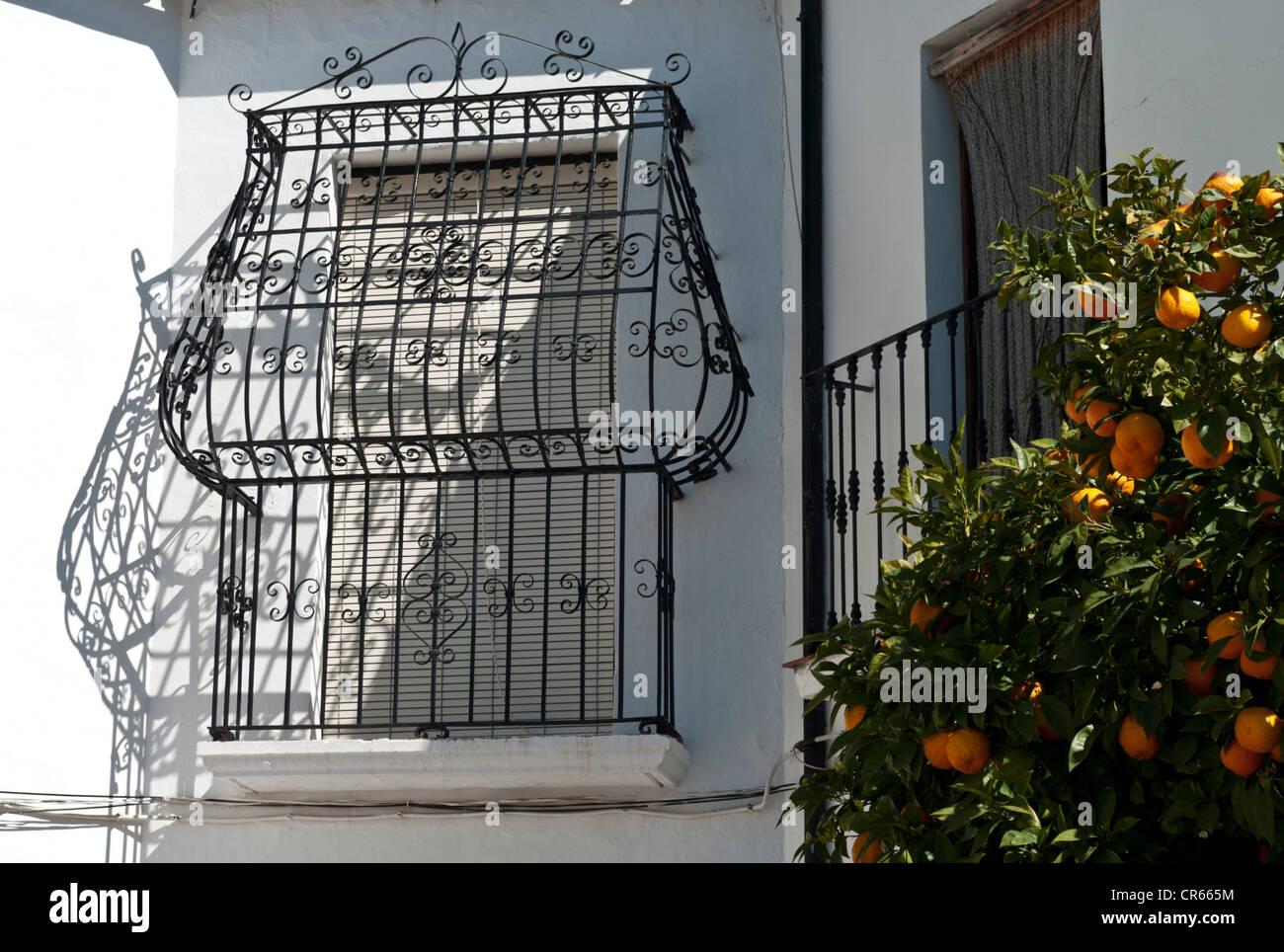A typical Andalucian wrought iron security grill Stock Photo