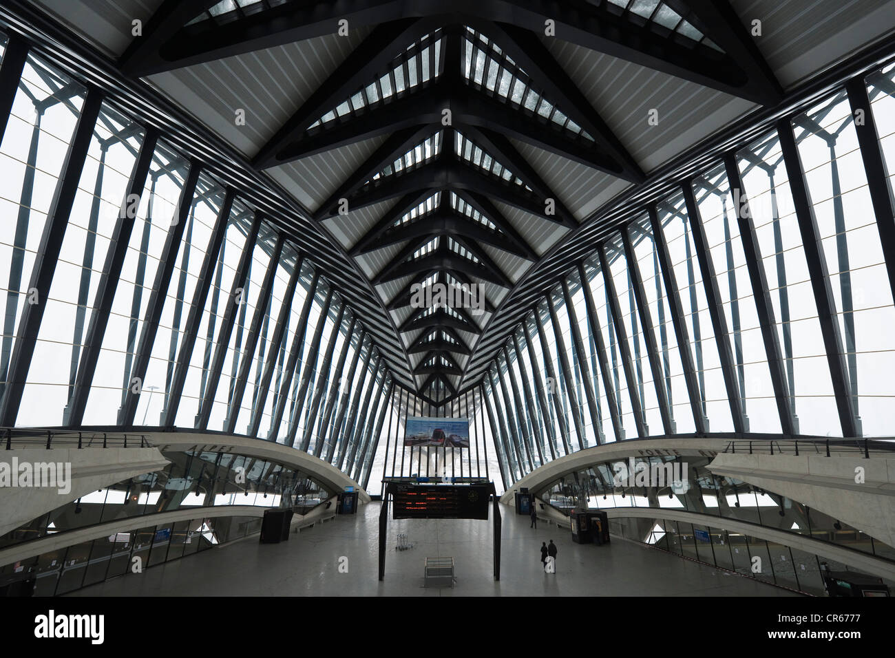 France, Rhone, Lyon, Lyon Saint Exupery Airport TGV Railway Station by the architect Santiago Calatrava Valls Stock Photo