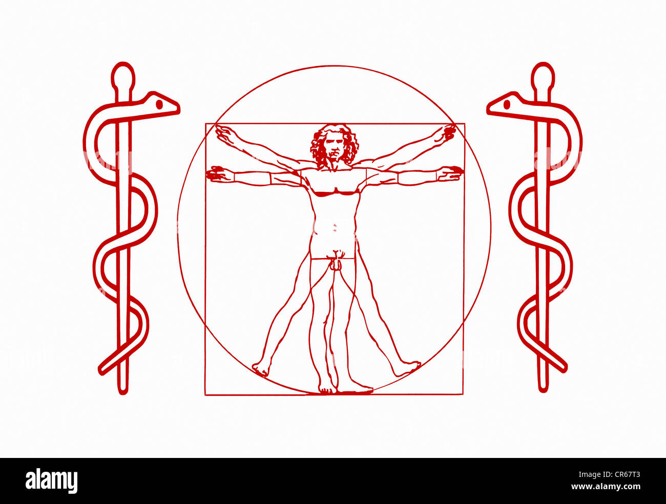 2 Aesculapian snakes and the 'Vitruvian Man', symbol of TCM, Traditional Chinese Medicine Stock Photo
