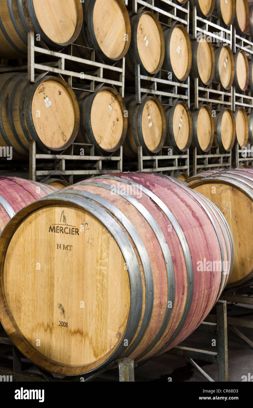 South Africa, Western Cape, on the wine route, Stellenbosch, cellar of