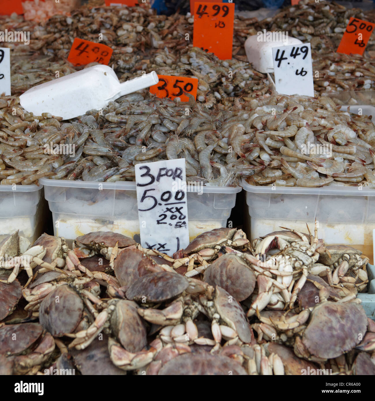 New York, Fish store in Chinatown Stock Photo Alamy